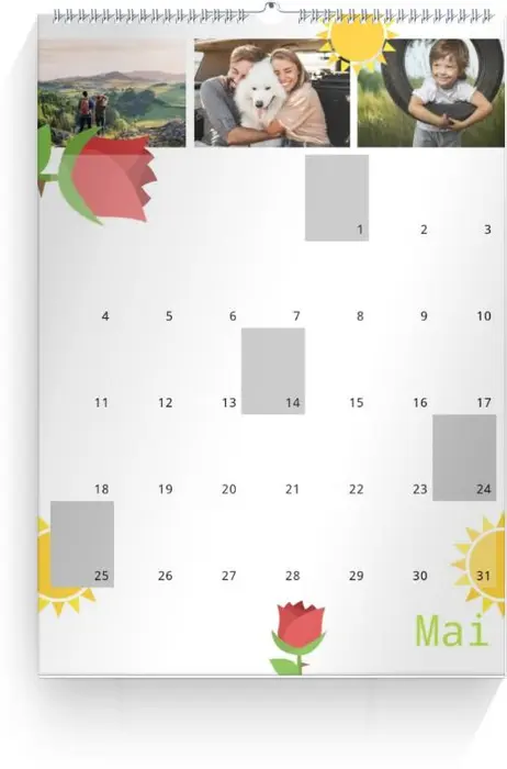 Product preview