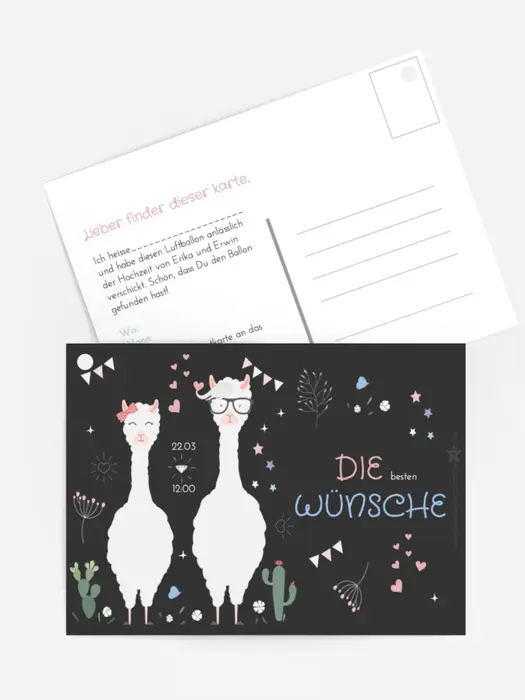 Lamas Hochzeit Lamas Hochzeit