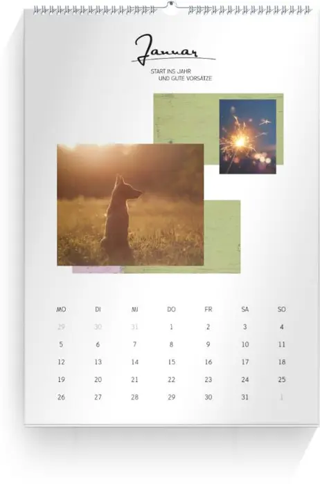 Product preview