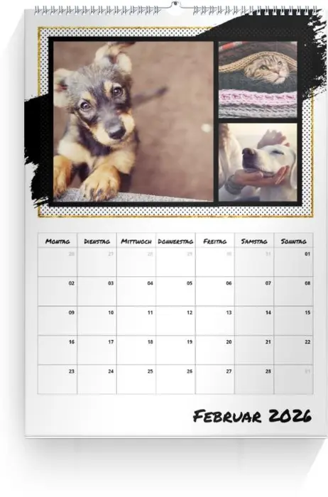 Product preview