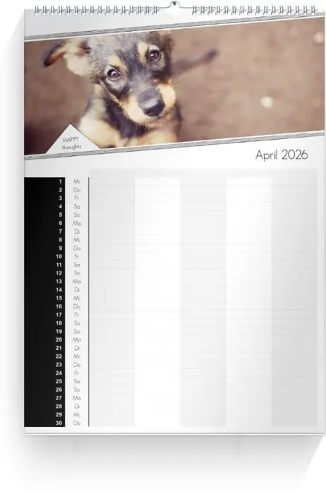 Product preview