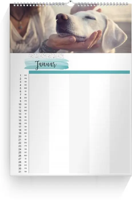 Product preview