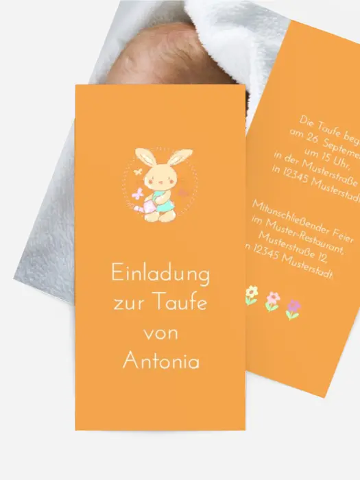 Hase Hase