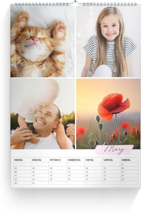 Product preview