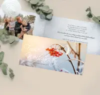 Category image for Weihnachtskarten