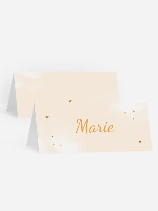 Tischkarte Geburtstag Die Prinzessin feiert! Tischkarte Geburtstag Die Prinzessin feiert!