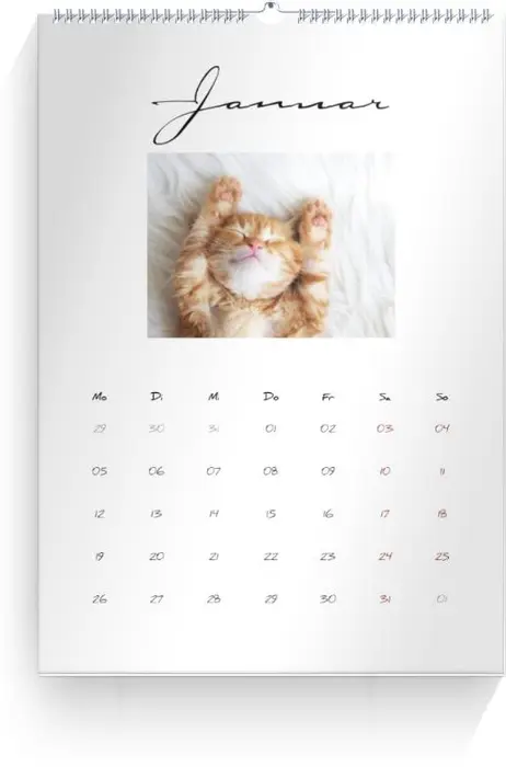 Product preview