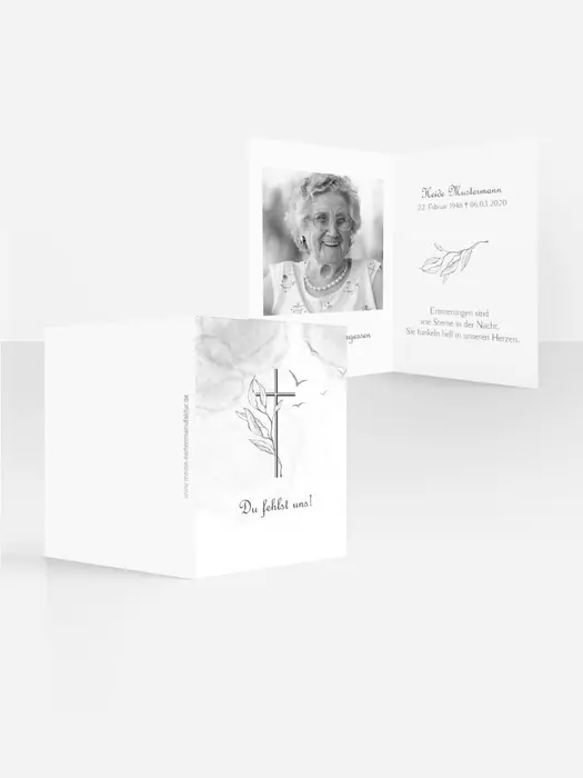 Product preview