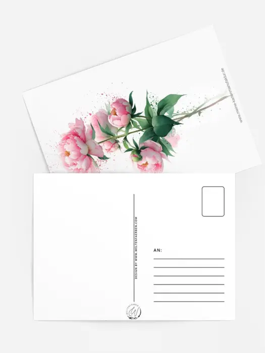 Pfingstrose ohne Lettering