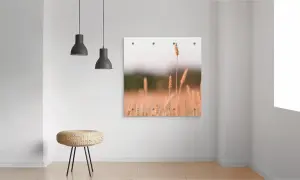 Foto PVC Plane, Wandbild, Getreide in Großaufnahme