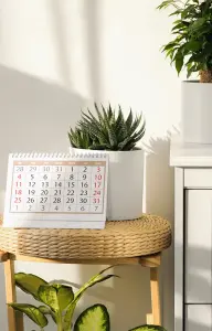 Ein Terminplaner, der den Monat in der Übersicht zeigt im Format A5