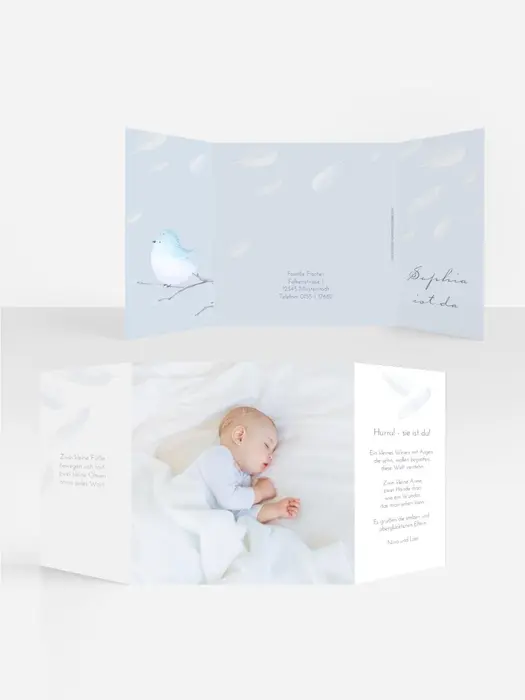 Product preview